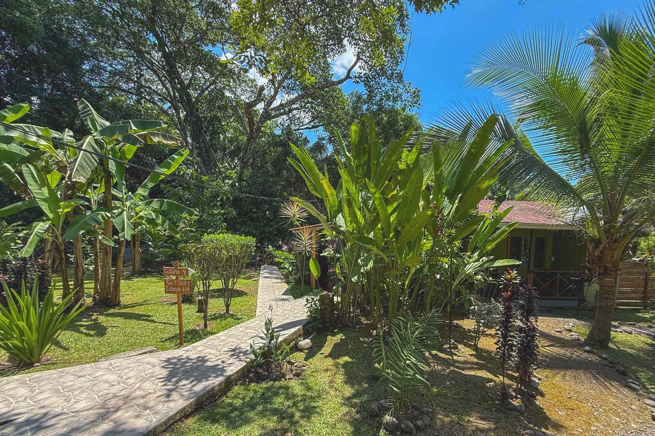  Gorgeous Jungle Hotel with 11 Beds including Owner/Manager Unit, Sparkling Pool & River Setting in Ojochal Costa Rica