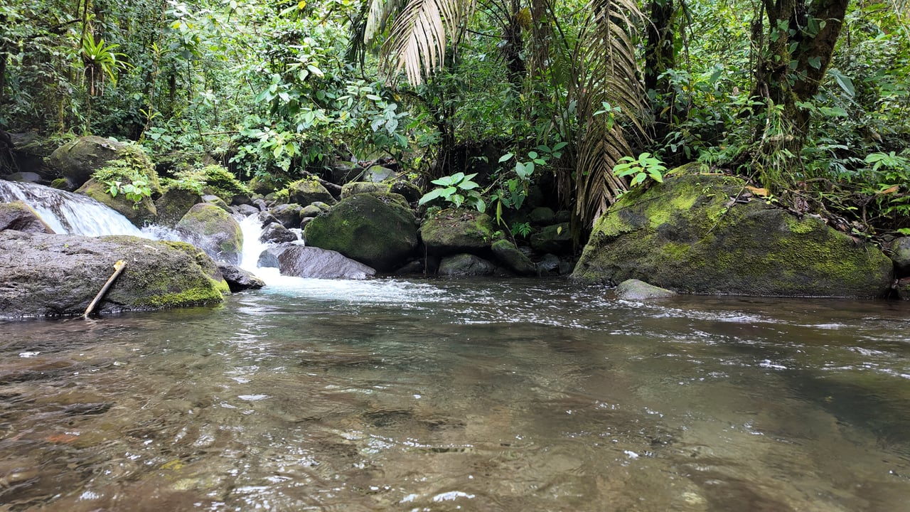 10.5 Hectares Rio Celeste - Nature Lover's Dream - Bijagua 