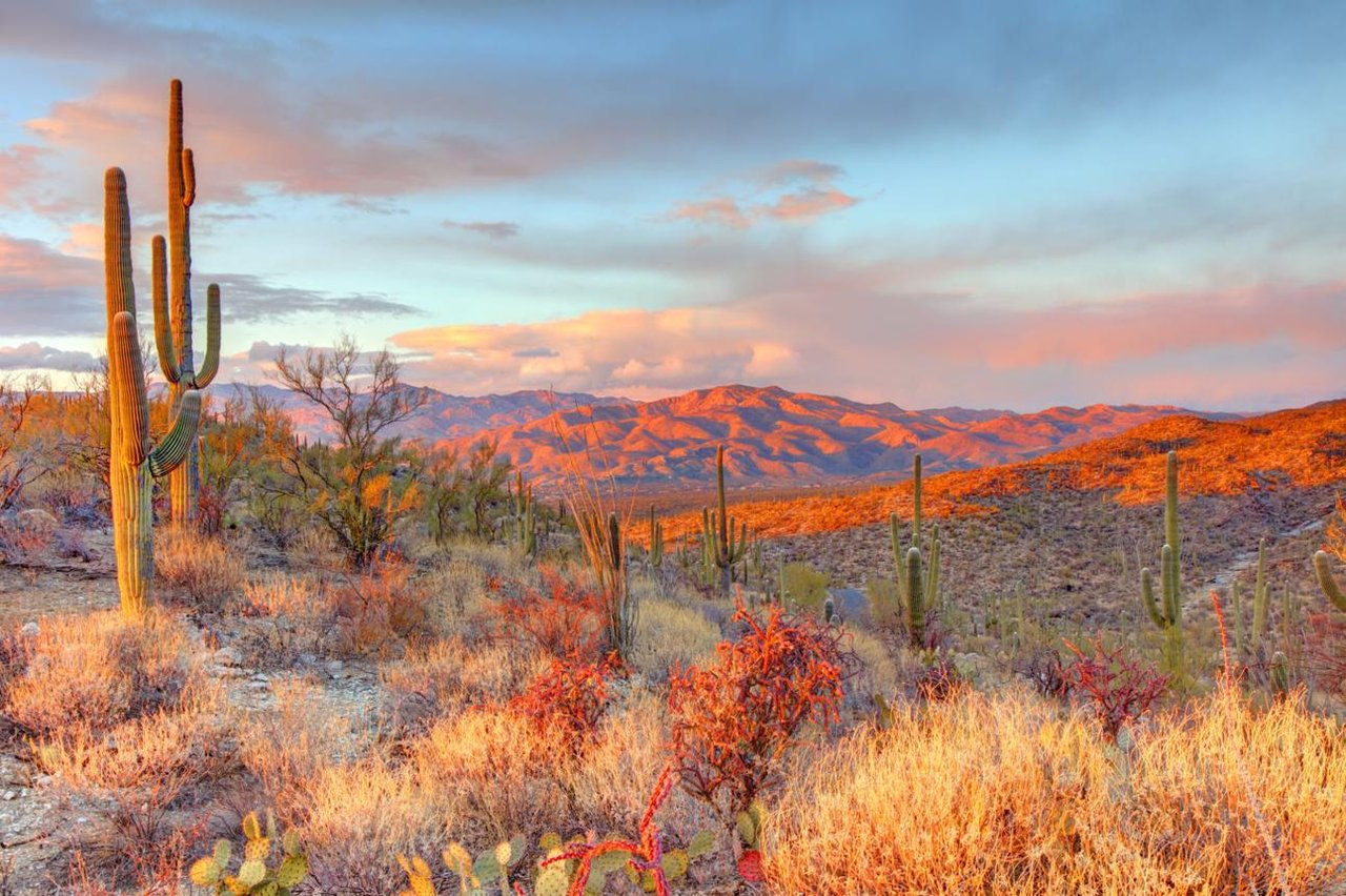 Rincon Mountains Glowing 