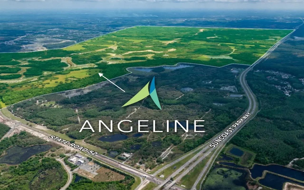 Exploring Angeline: A Community Spotlight in Tampa, FL