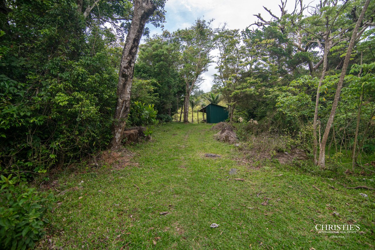 Origins Mineral: A Rare Landholding in Guanacaste’s Volcanic Highlands