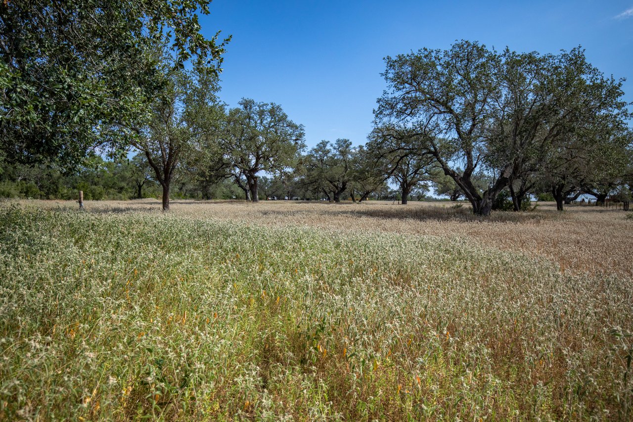 Oaks, Wildlife, & the Quiet of the Countryside | 26.99± Acres | Poteet, TX