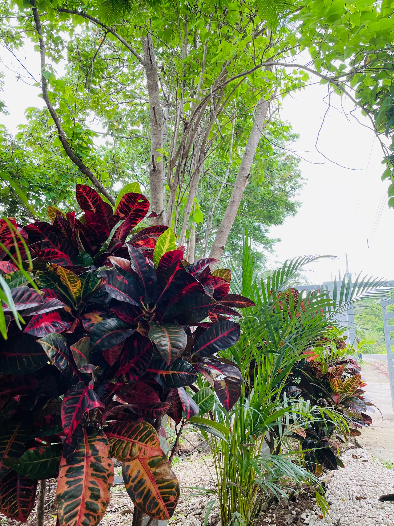 Valle Escondido Development | New Gated Community Near Tamarindo Beach