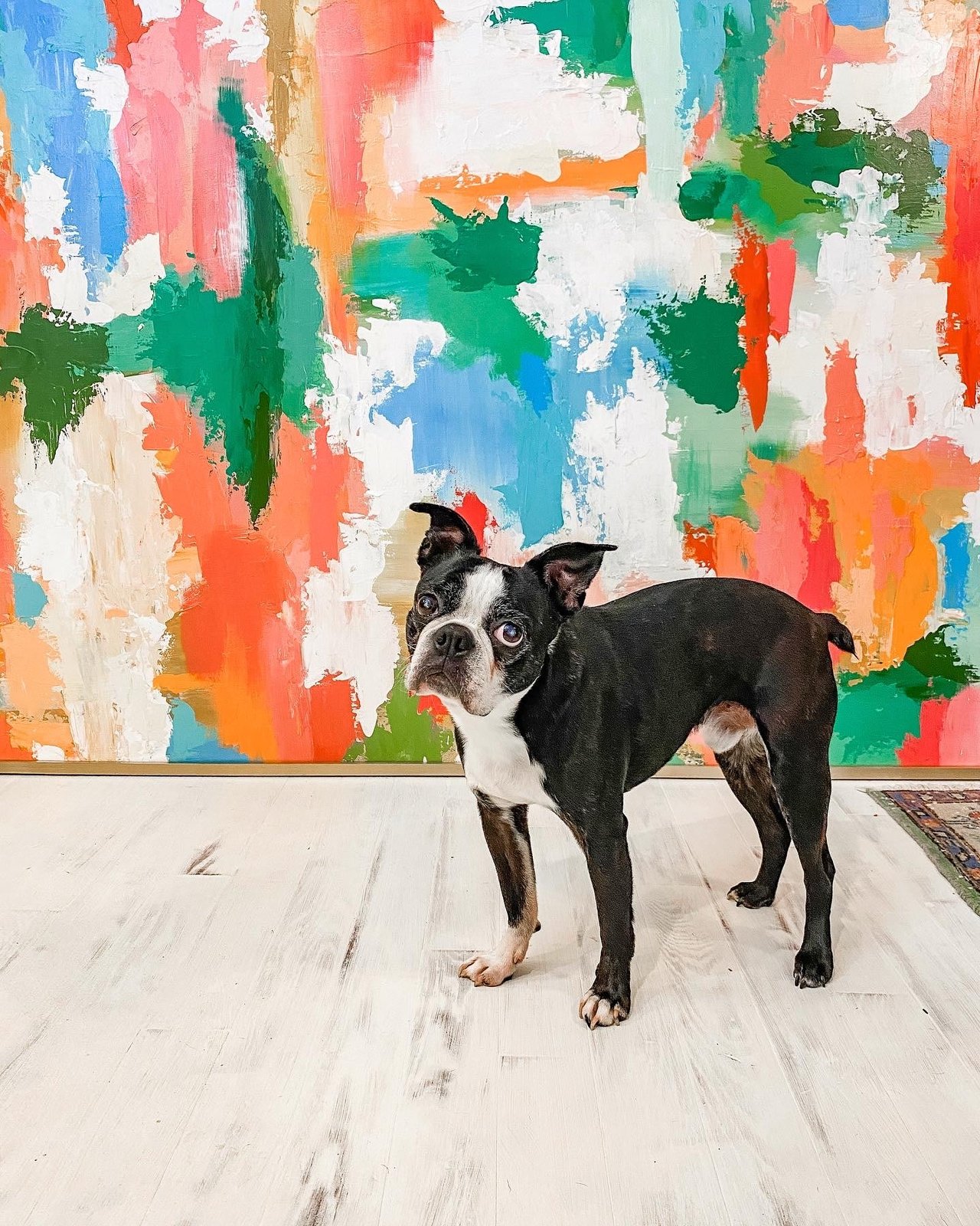 Curb Appeal: Southern Traditional