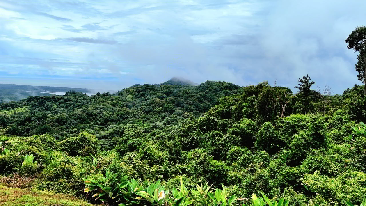 Costa Azul Residential Project - Tres Ríos de Osa, Costa Rica