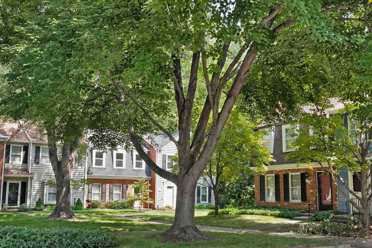 Minor Hill / Wynridge