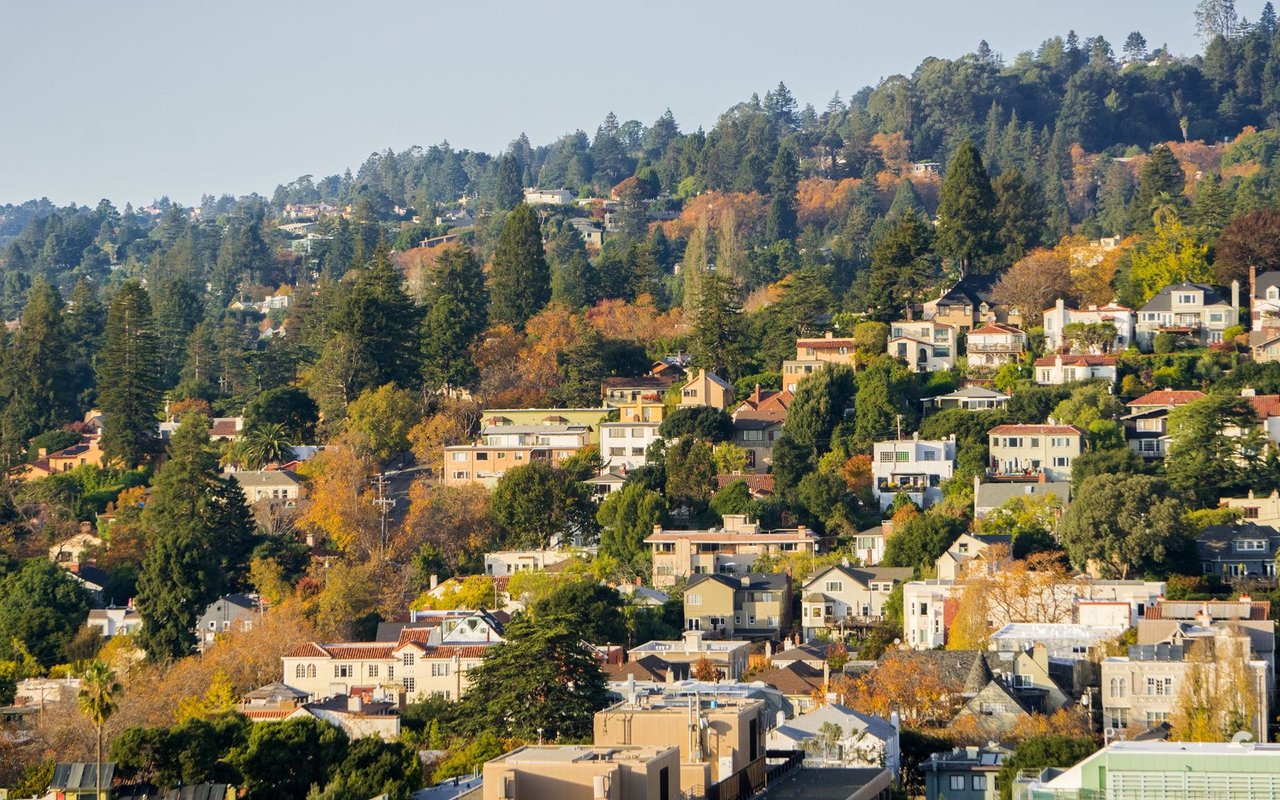 Redwood Heights
