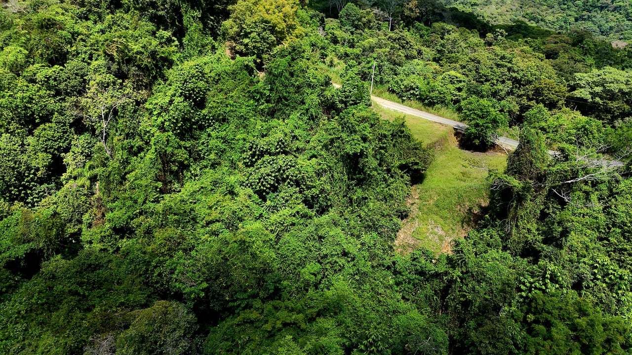 Ocean-View Lot in Chontales – 9,057 m² – Osa, Puntarenas