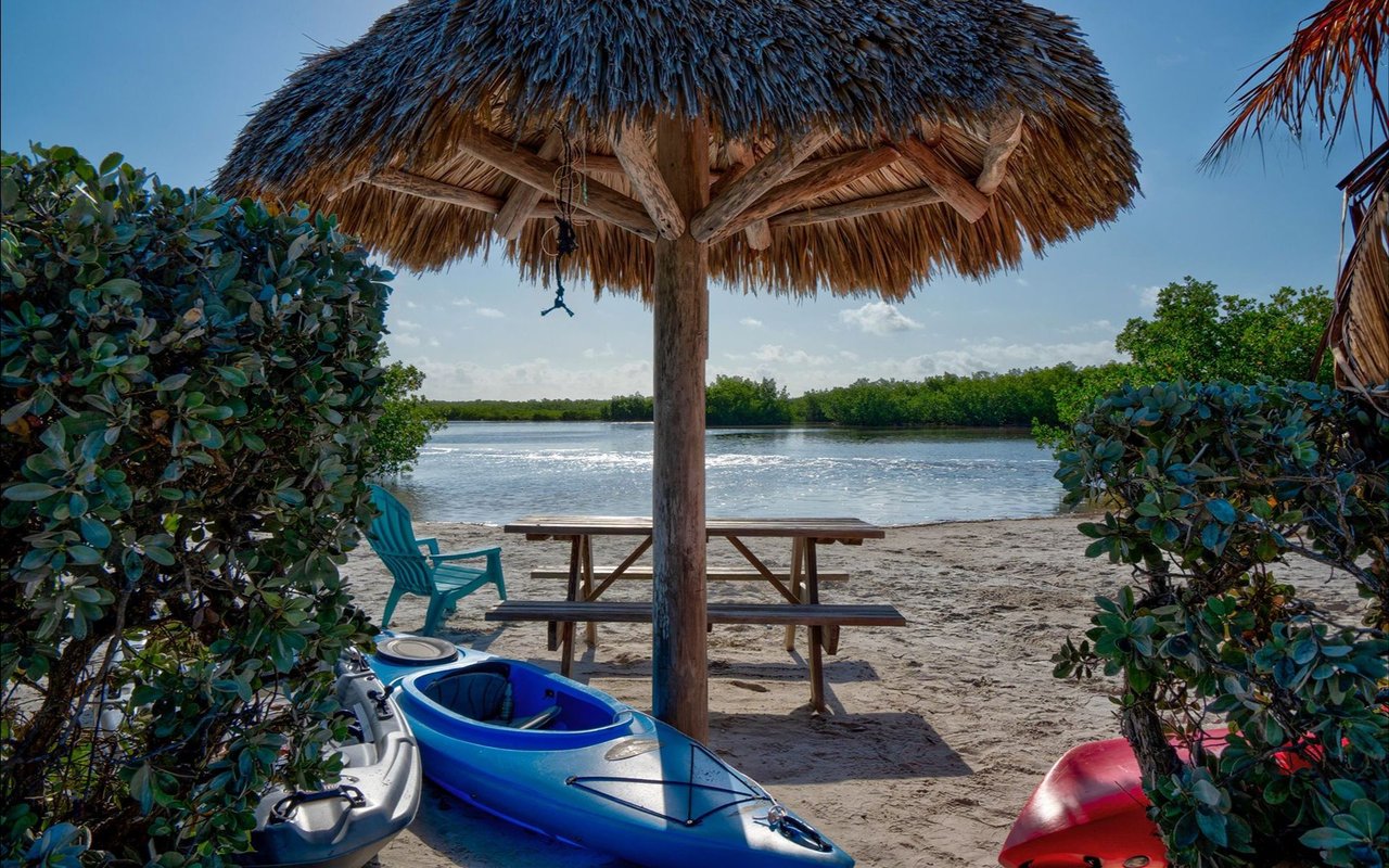 Sandy waterfront with a thatched tiki hut, picnic table, and kayaks beside calm water.