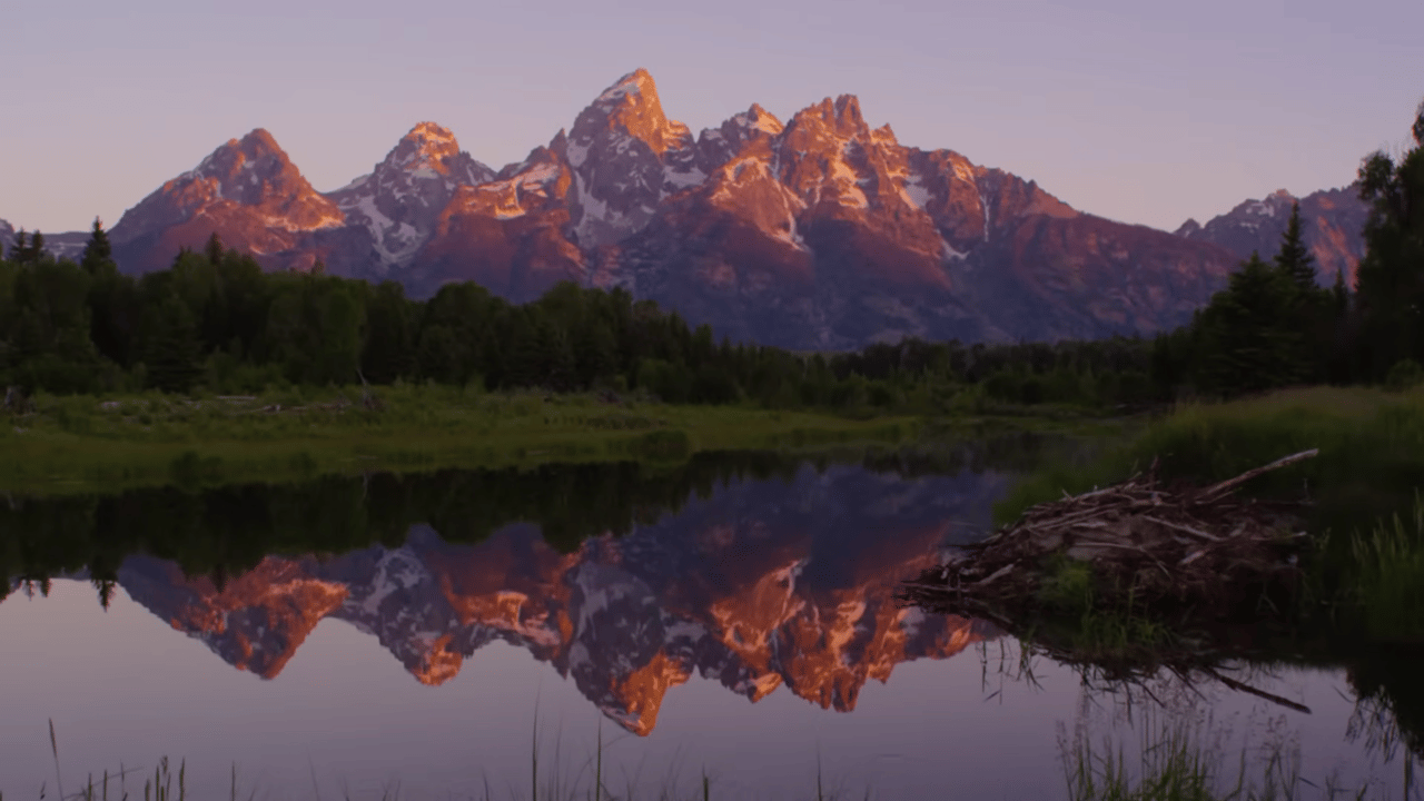Summer in Jackson Hole: Forever