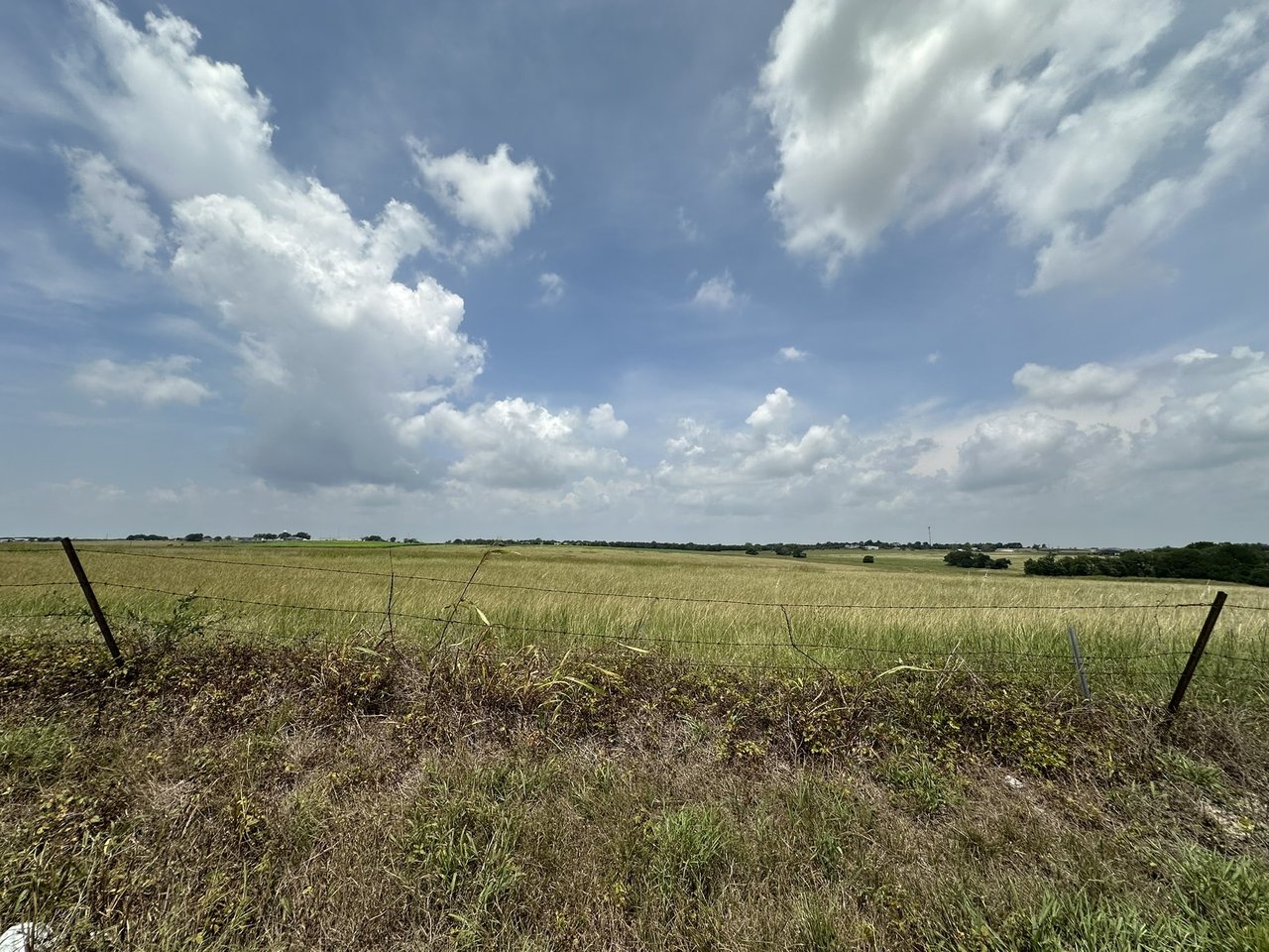 231 Acres land for sale in Troy, Tx with Utilities