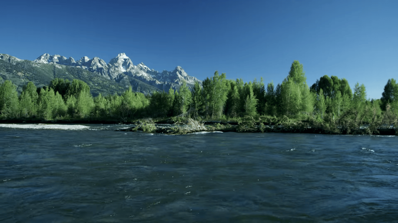 Fly Fishing in Jackson Hole