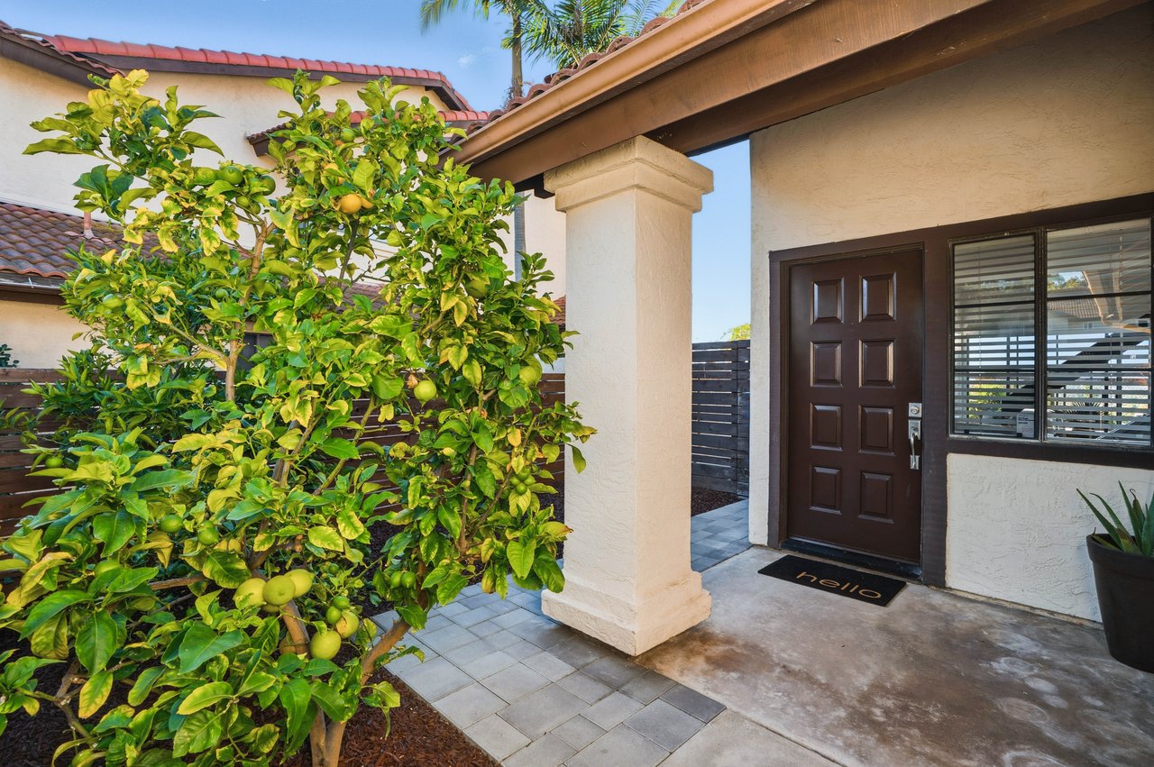 Ocean Views in Calavera Hills