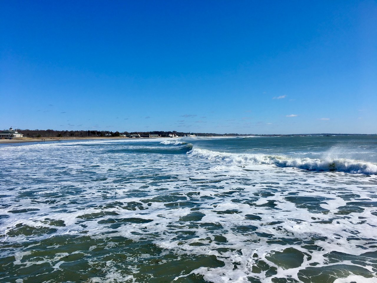The Calamari Festival Is Narragansett Judging Its Own Restaurants cover