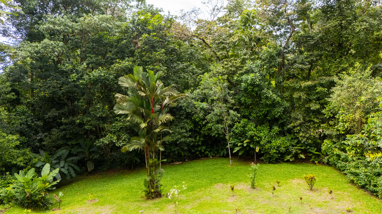 Ojochal Home for Sale with Pool, Creek & 1.6 Acres