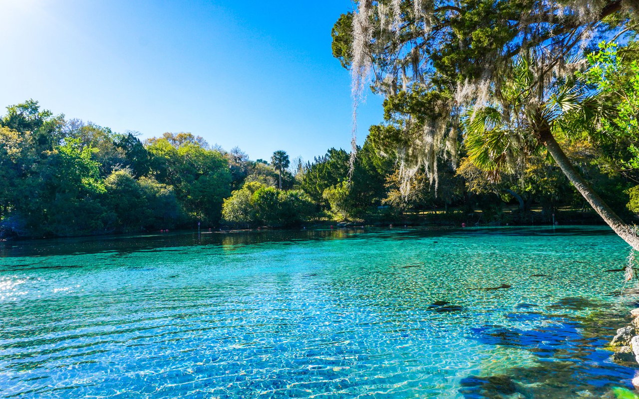 Ocala