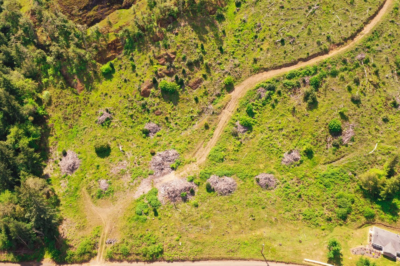 STRICKLAND BOULDER FOREST
