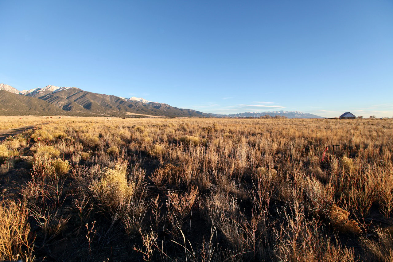 Pine Cone Road Homesites