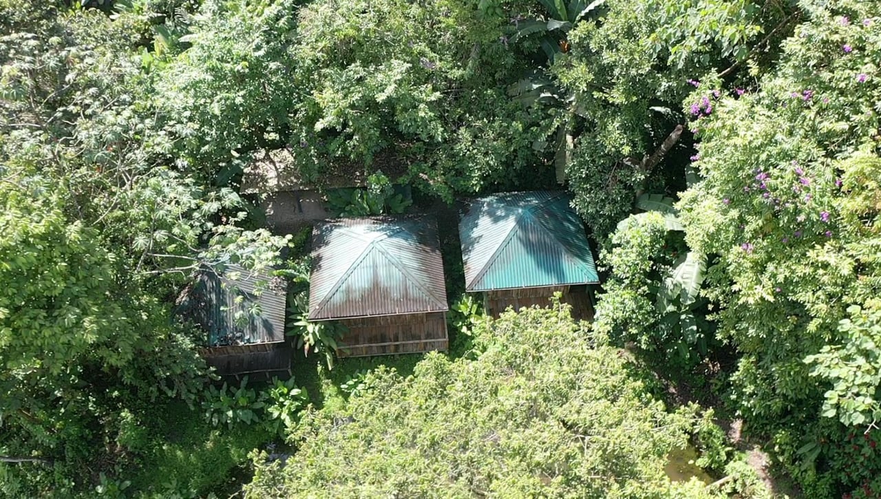 Sustainable Conservation Retreat, Osa, Puntarenas