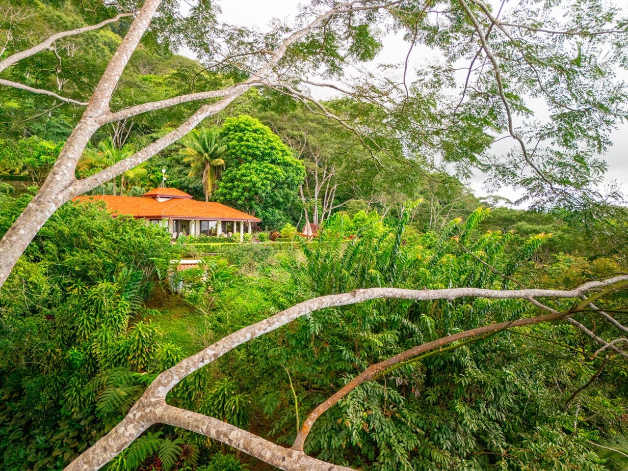 Ocean, jungle & mountain views on a meticulously landscaped 3-home family compound