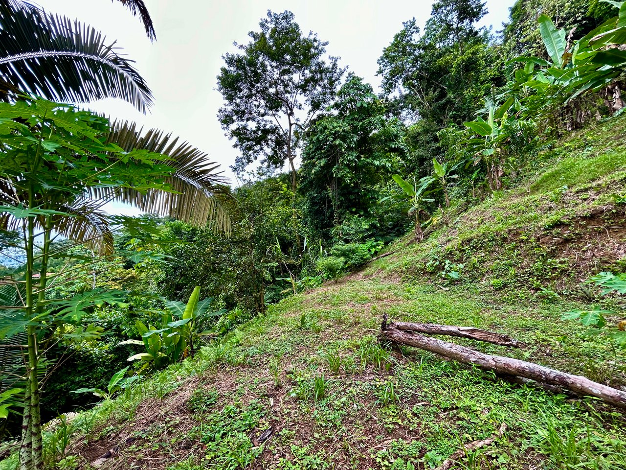 Ocean View Property in Playa Hermosa - Over 1 Acre