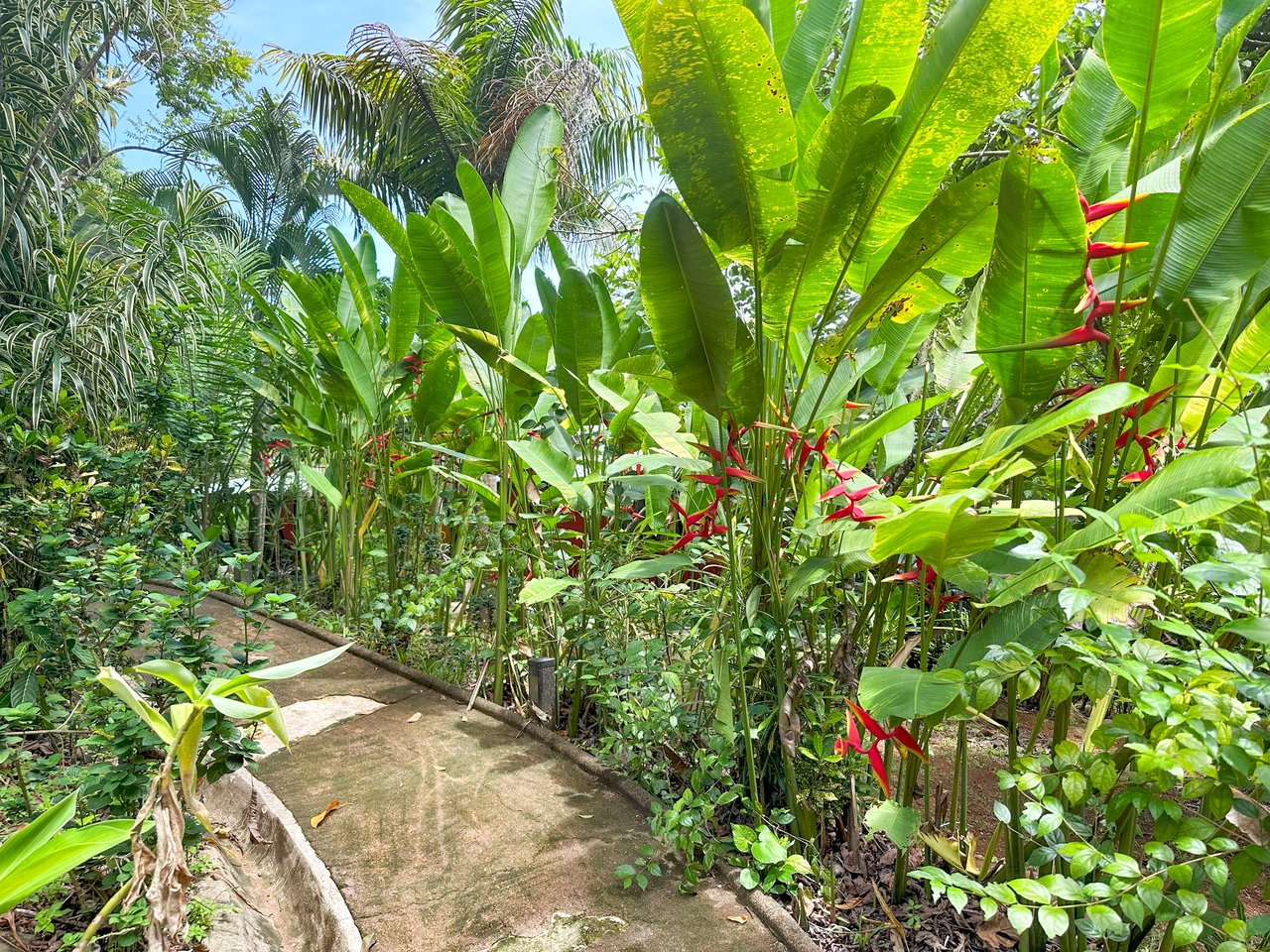 Ojochal Property for Sale – Cabins, Restaurant & 3-Bed Home