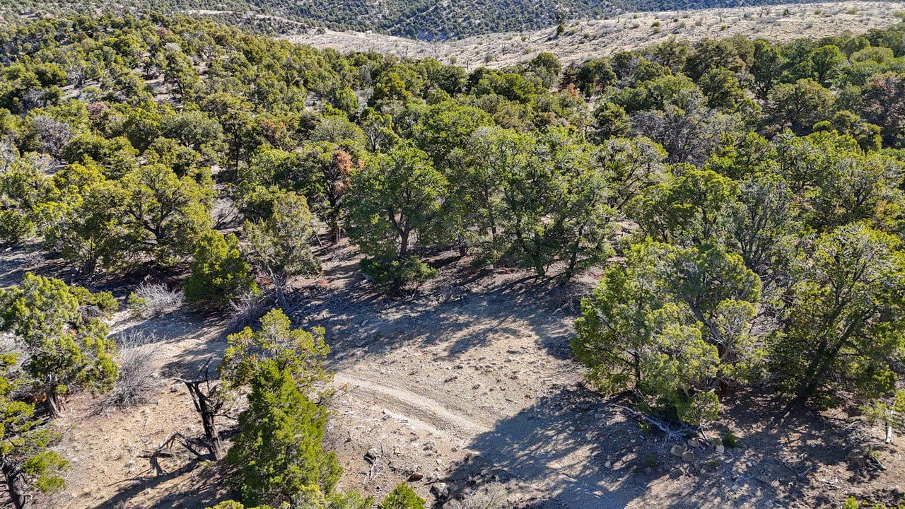 1 W Elk Meadows