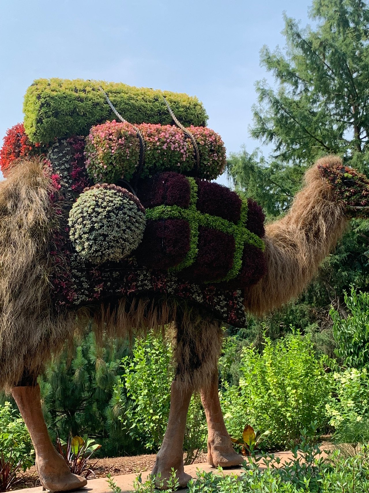 Atlanta Botanical Garden, A Lush Escape In The Heart Of Midtown