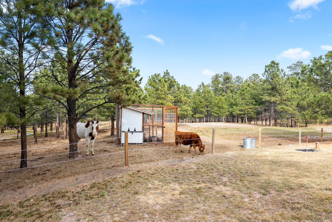 17521 Abert Ridge View