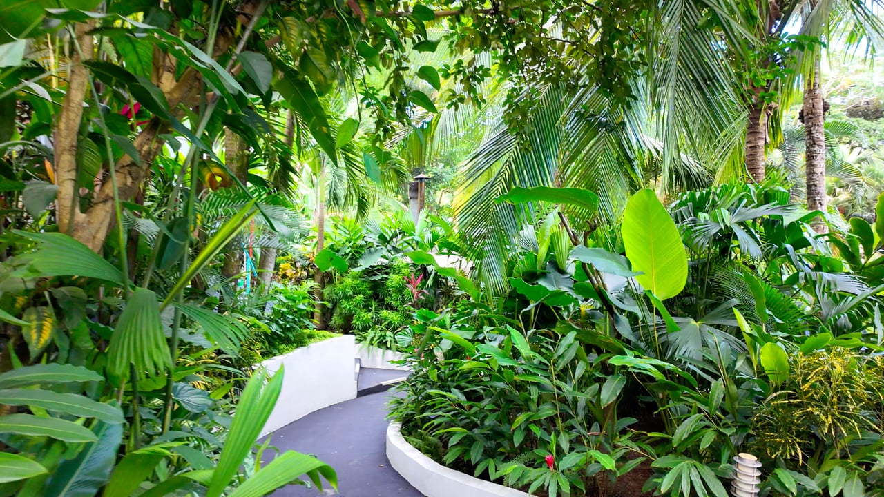 22 Unit Tropical Boutique Hotel steps from Manuel Antonio Park & Beach