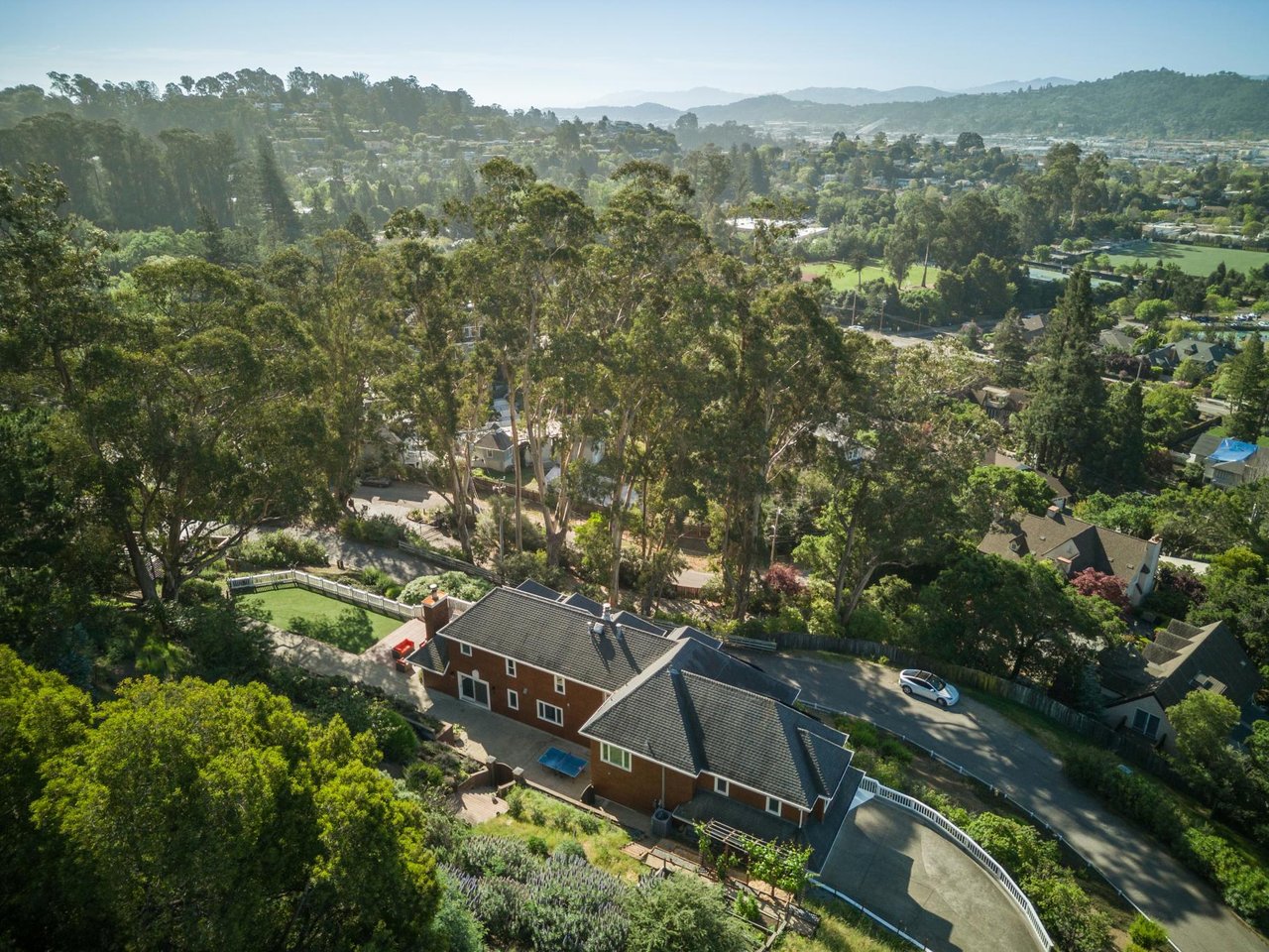 Dominican - Coming Soon