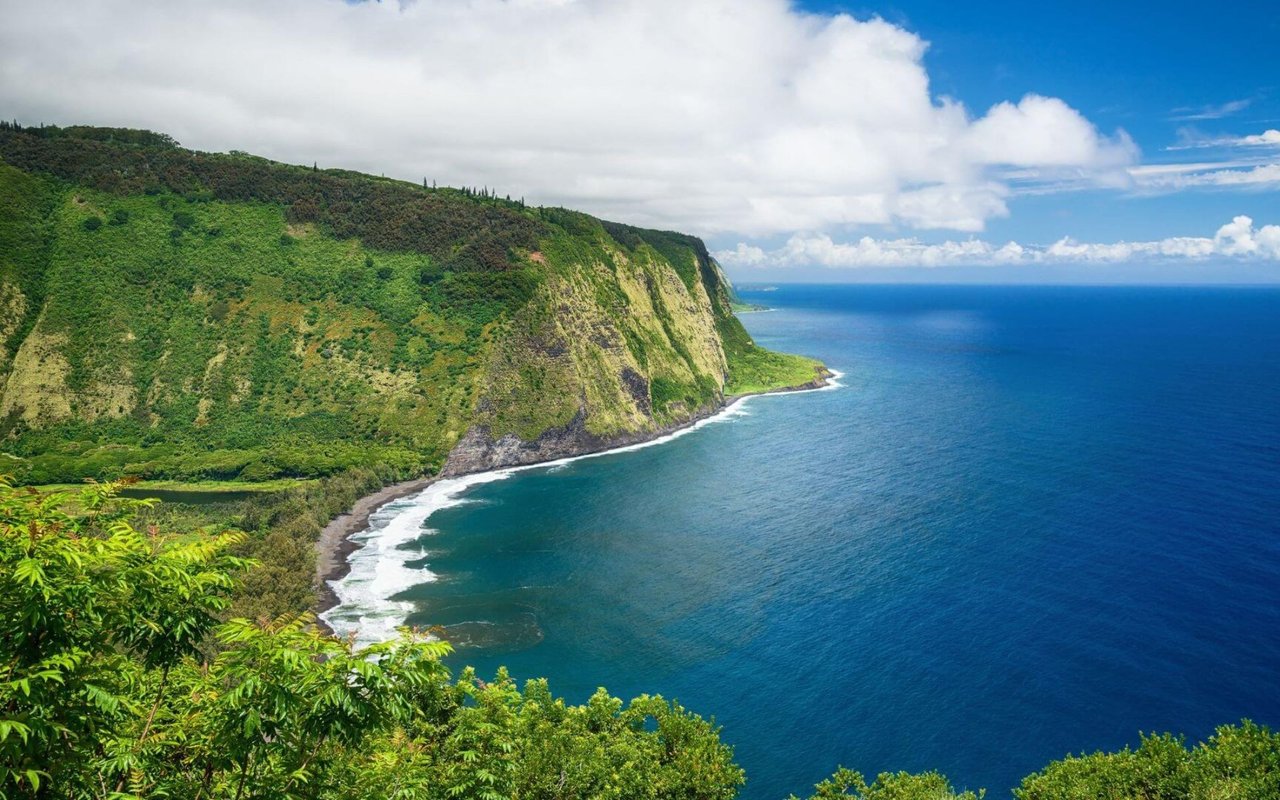 From the Charm of Huntington and Locust Valley to the Energy of Dallas, the Beauty of the Big Island, and the Scenery of Boise.