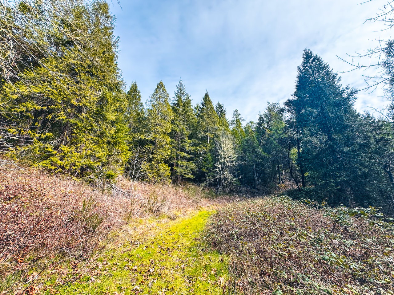 SUTHERLIN HEIGHTS