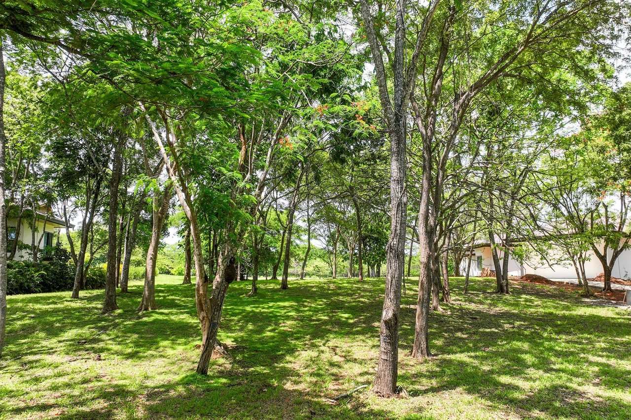 Rare Golf Front Estate Parcel | No HOA | 5,000m² in Hacienda Pinilla