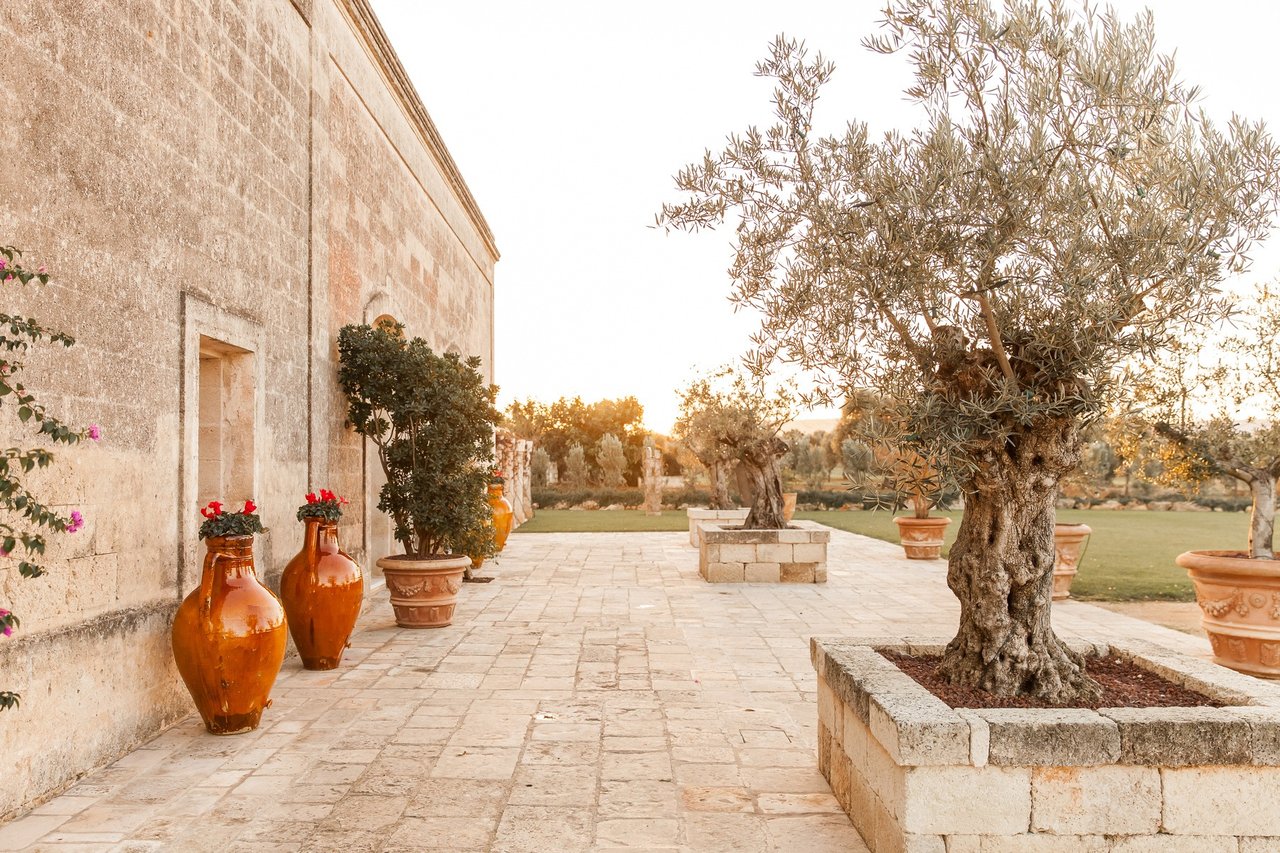 Intimate Villa Surrounded by Olive Trees Near the Town of Fasano