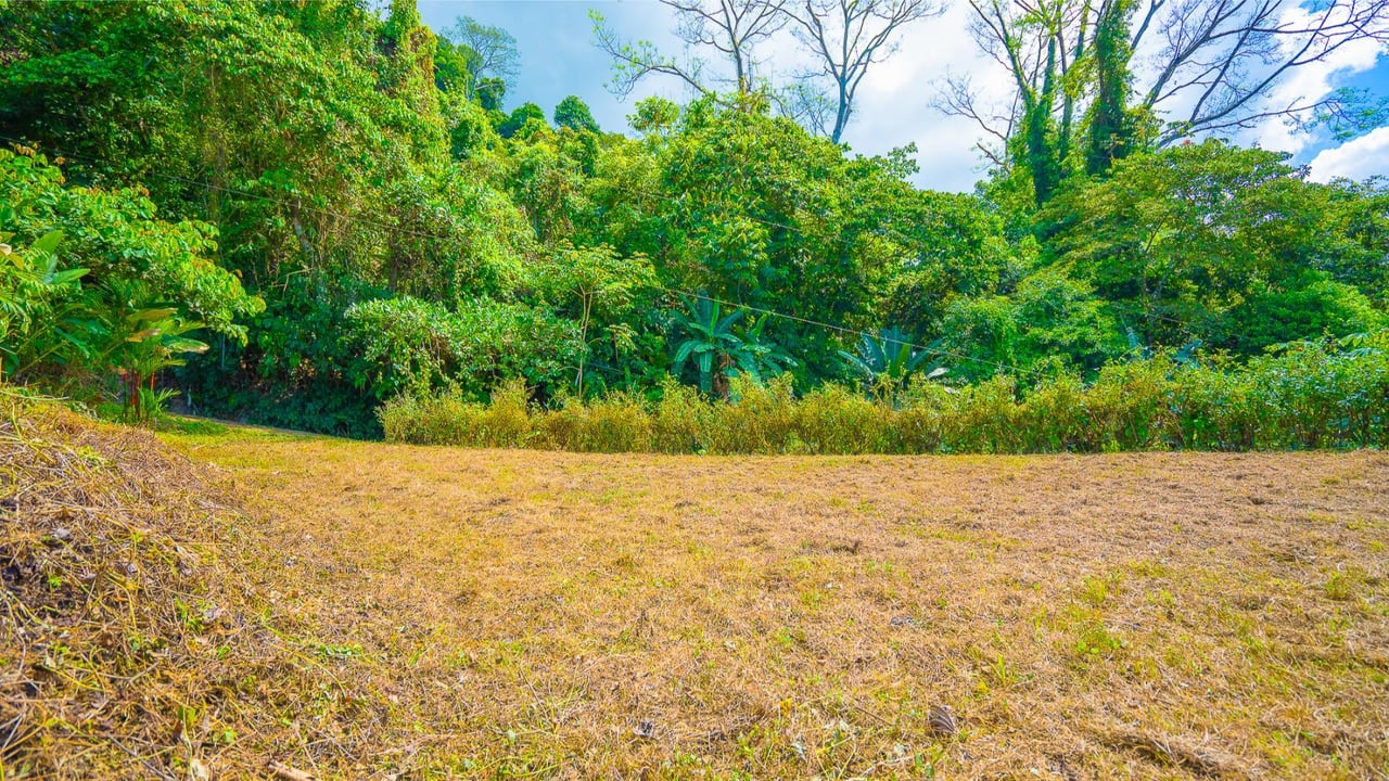 Flat Buildable Ocean View Lot, Ojochal, Puntarenas