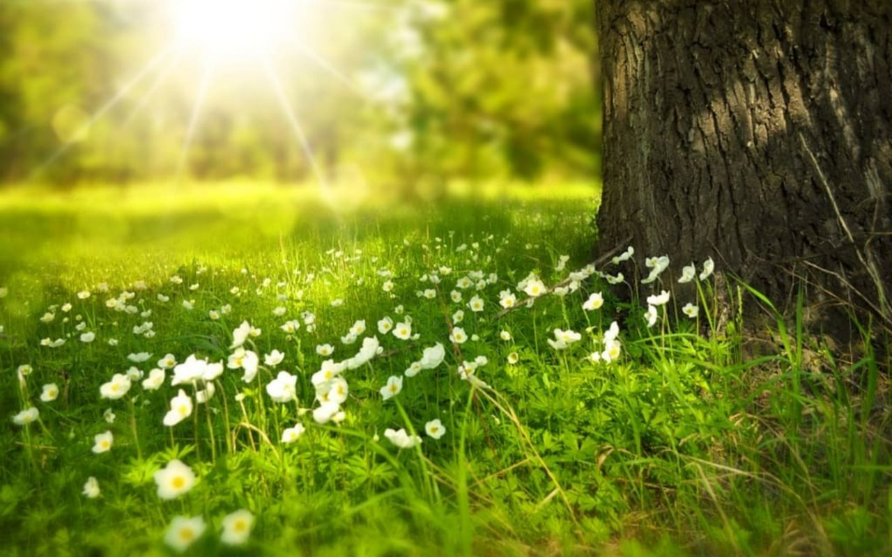 Is Spring Truly The Best Time To Sell Your House?