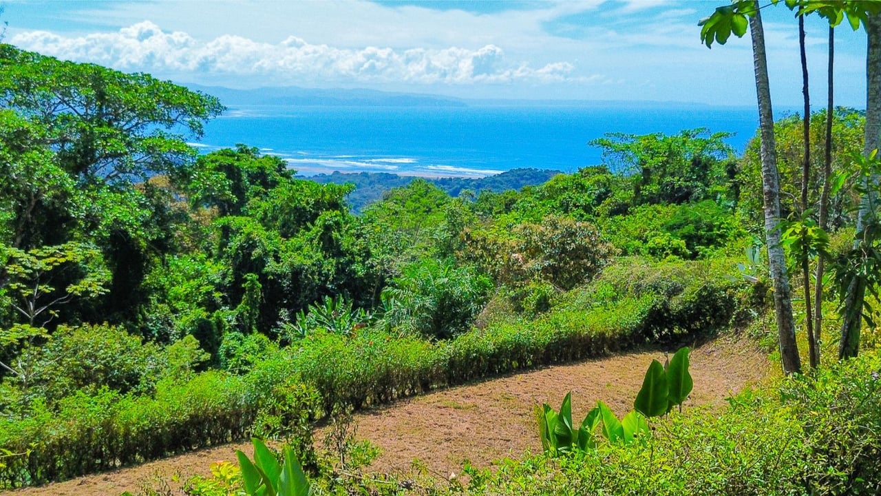 Flat Buildable Ocean View Lot, Ojochal, Puntarenas