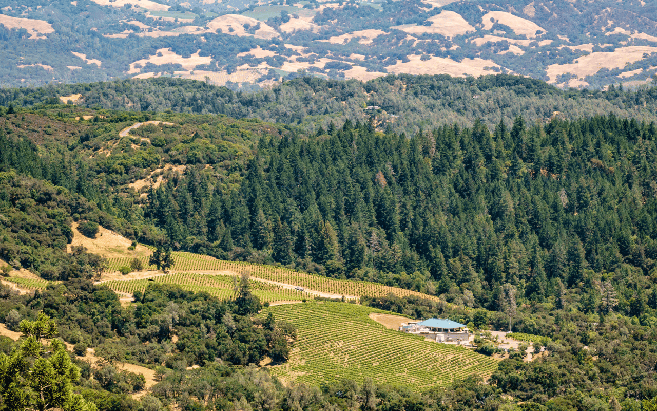 Sonoma County