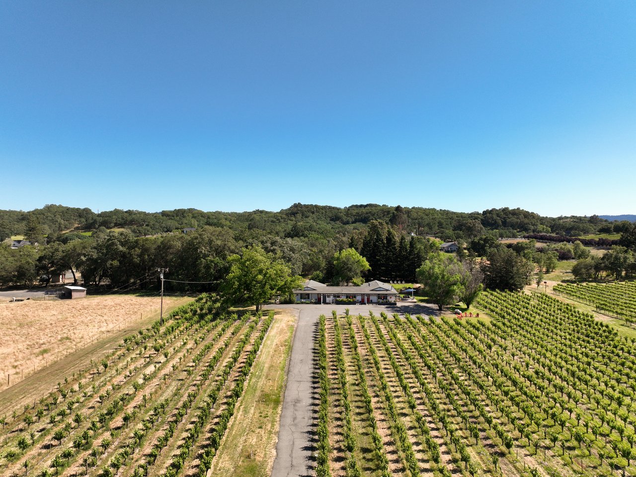725 Lytton Station