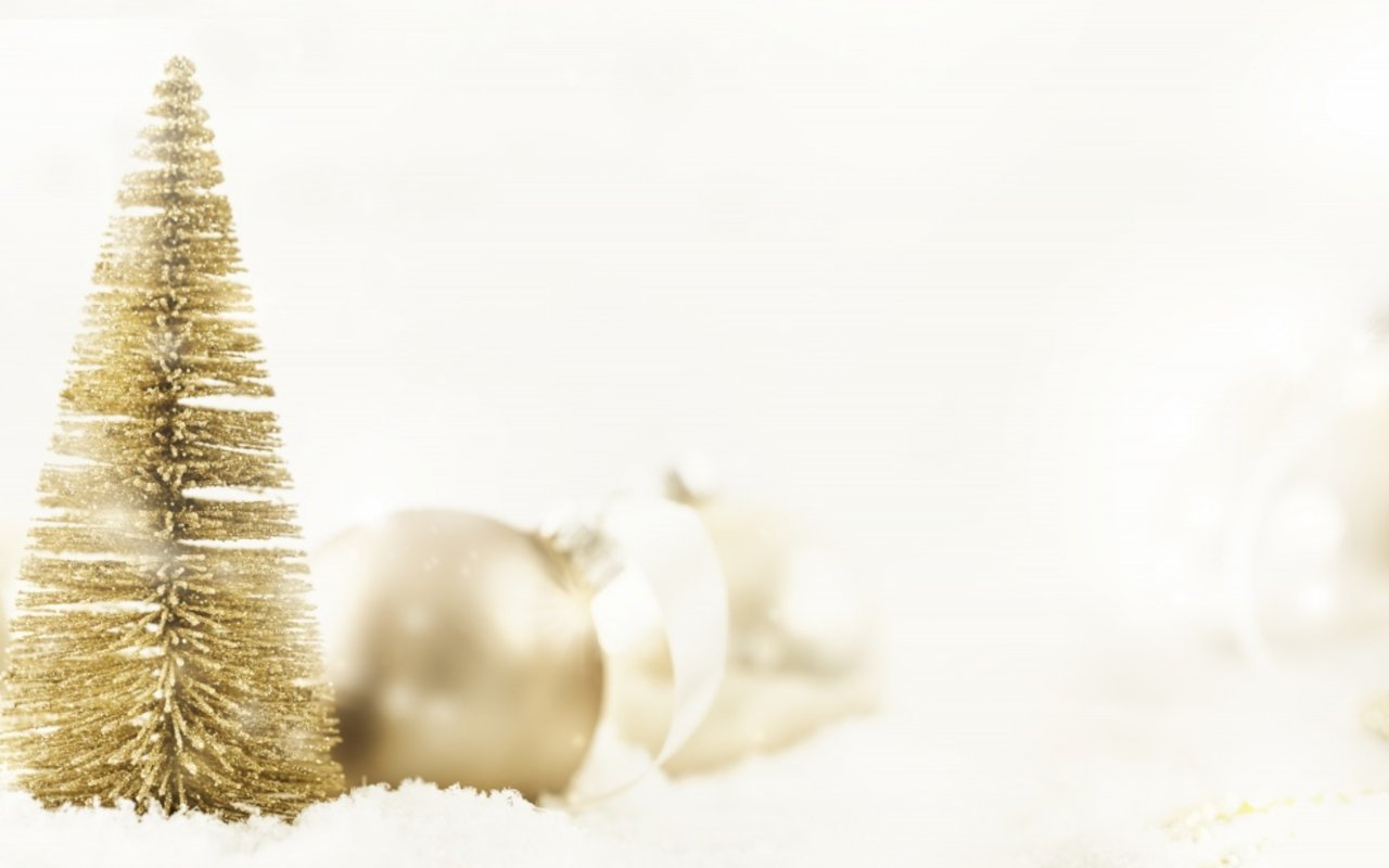 Breckenridge Altitude News-Happy Thanksgiving