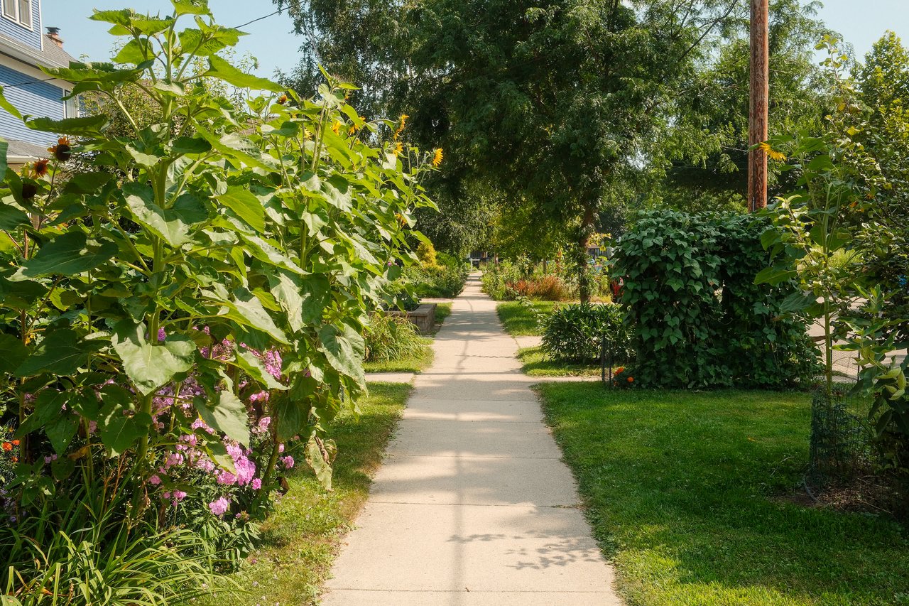 Your Ultimate Guide to Monroe Street in Madison, WI