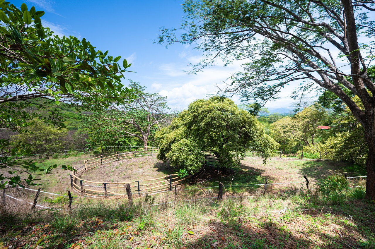 Horse Stables and Lot - Rancho Cartagena 