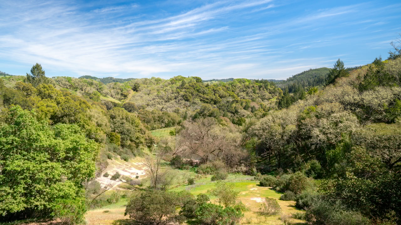 Leslie Creek Retreat