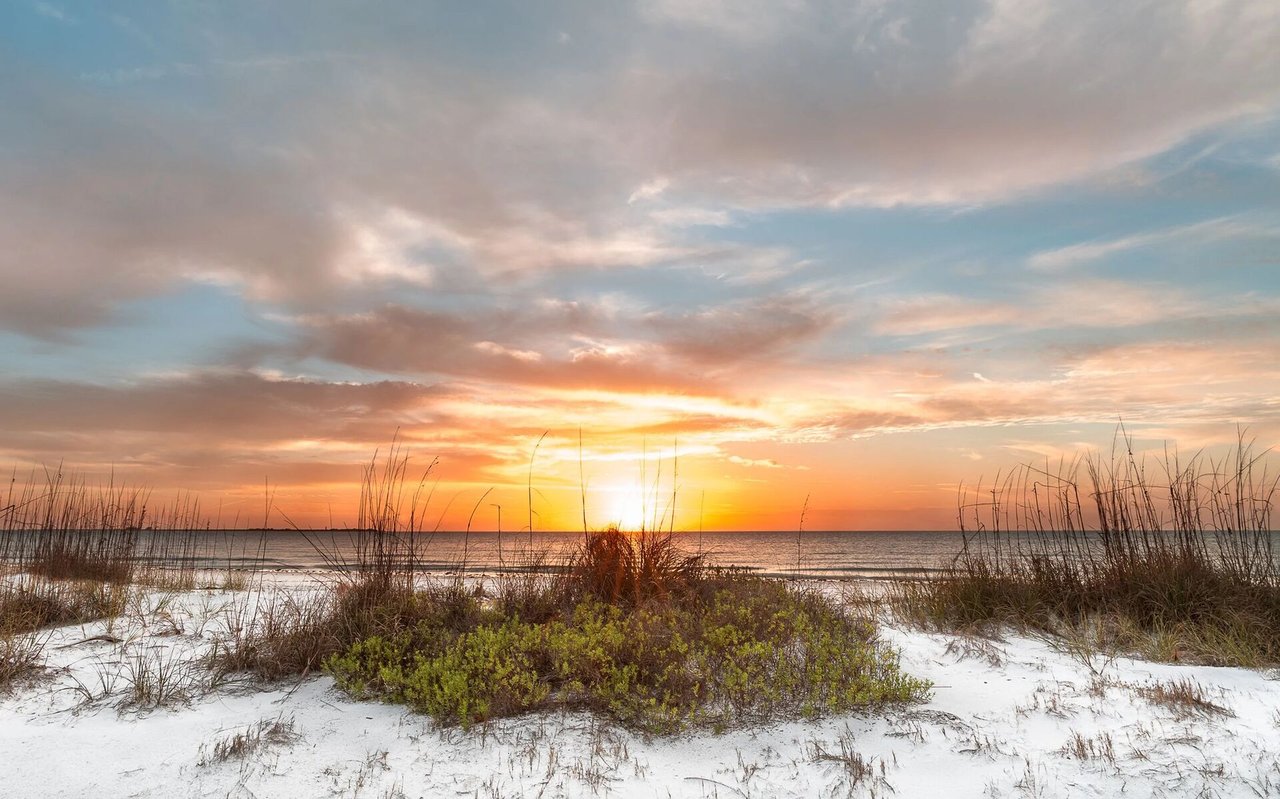 Sunset over the Gulf, framed by white sand dunes and sea oats.