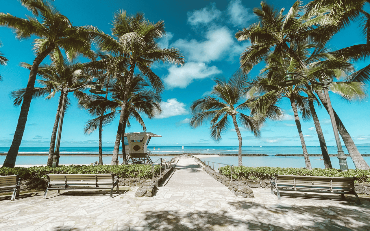 Palm-lined beachfront walkway leading to turquoise ocean, with benches and a lifeguard tower.