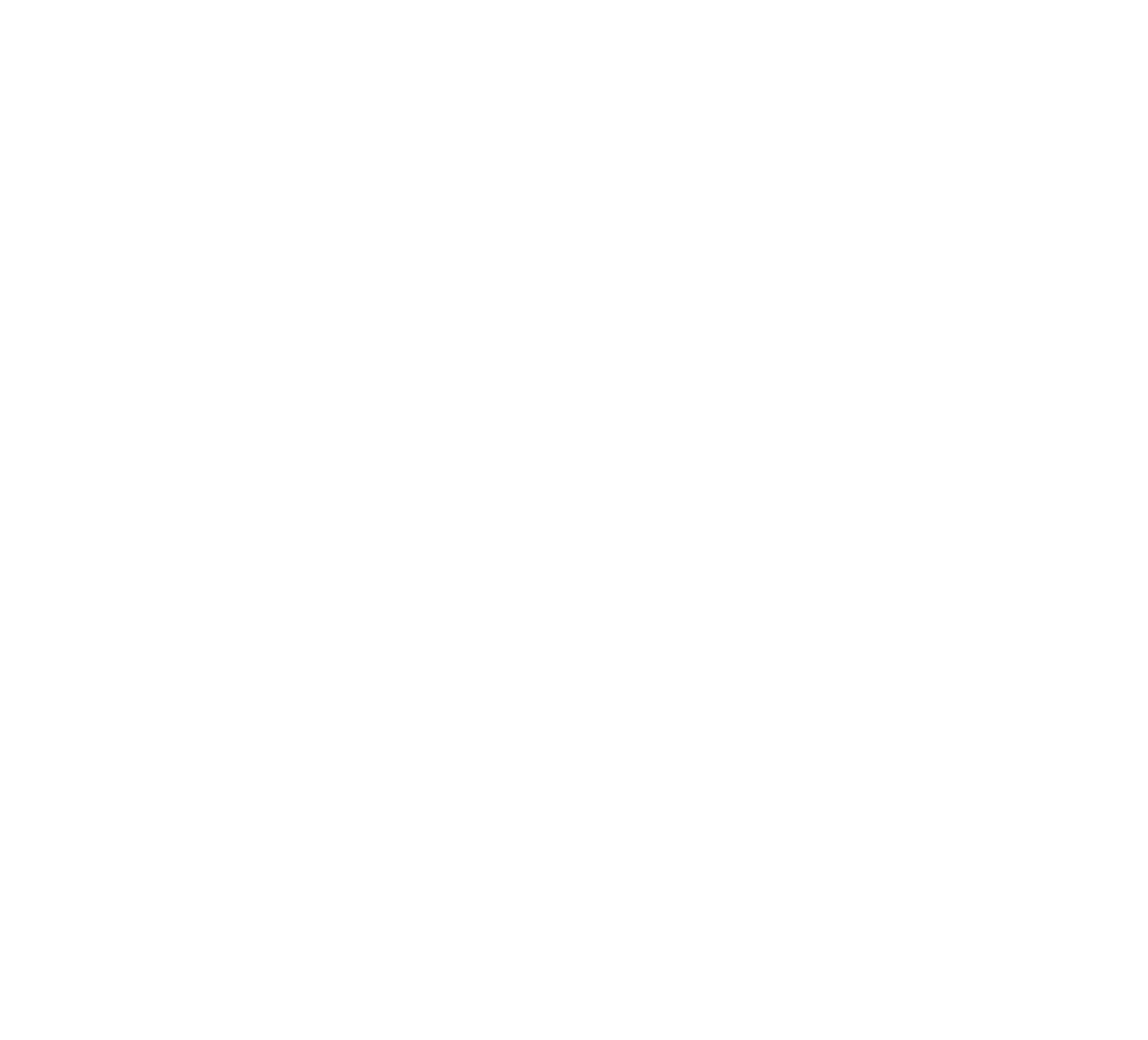 Light Logo