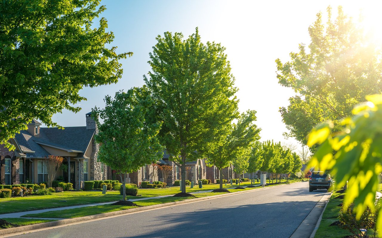 Tree-lined residential street with brick homes, manicured lawns, and a parked car in warm sunlight.