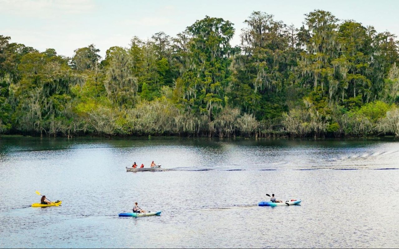 Kayaking in Tampa Bay, FL