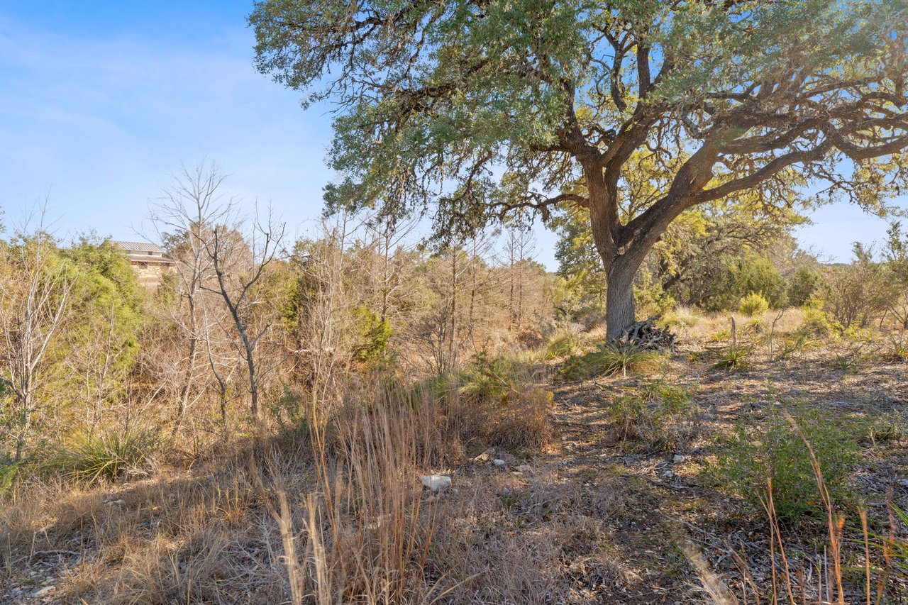 100 Dario Dr. Dripping Springs  Tx 78620